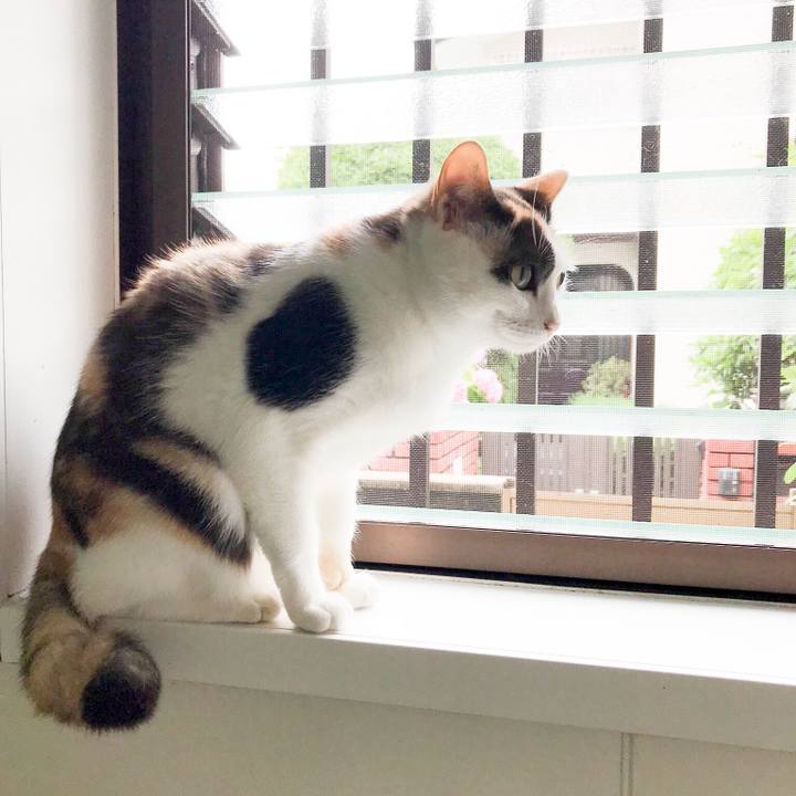 54236ac0 563f 4f3c 8232 7d7ab2c8fb3d 1530712186124