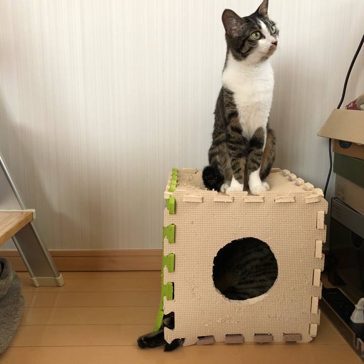 5423c1a5 9a9c 440f 807f 131ebd7f3963 1526650890732