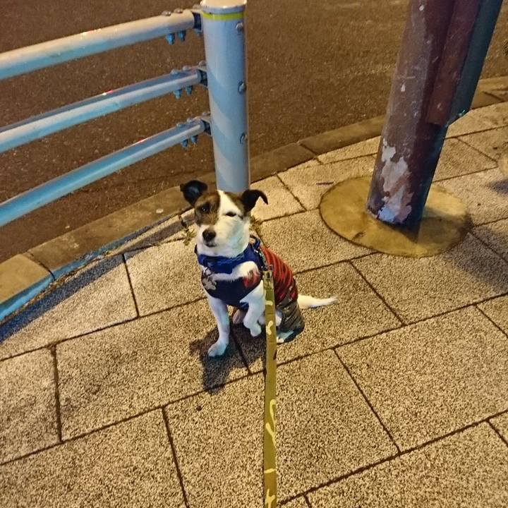 5423cef9 0ed1 4a4e 8493 53be0a6a95b3 1518265993135