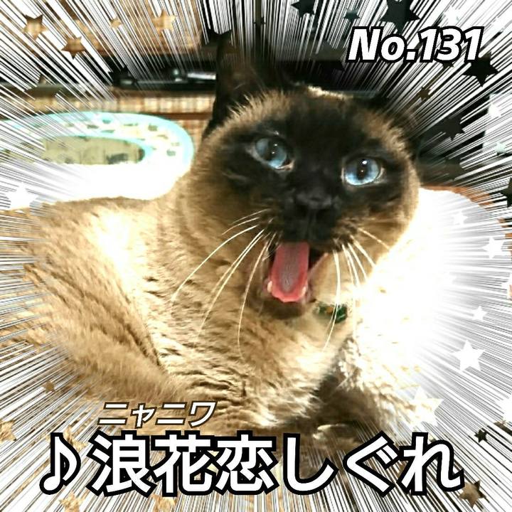 5423eac8 2888 4274 a877 2ee47688ce22 1525520809972