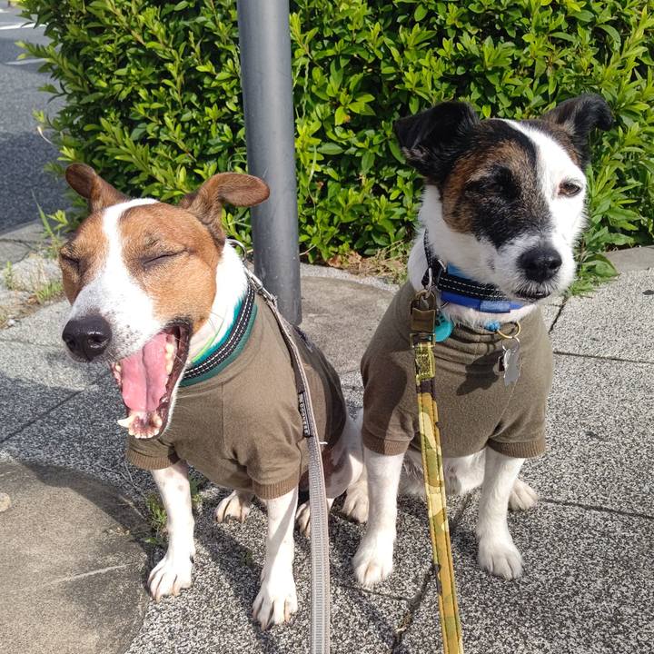 5423ff22 666a 49aa b093 da5f2781fed2 1685054029206