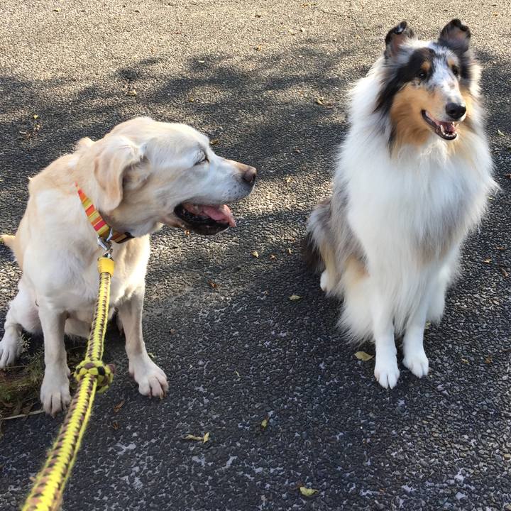 542417f2 89c0 4936 981d 1a4db36c6bd1 1588380822817