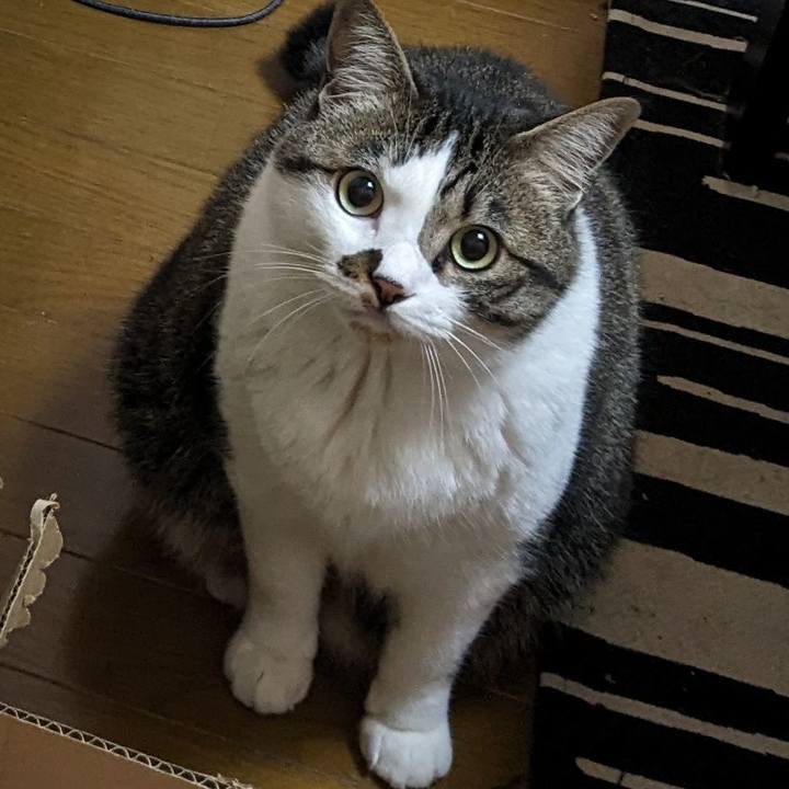 54242063 ae94 4091 b787 f262de0883b3 1715724688414