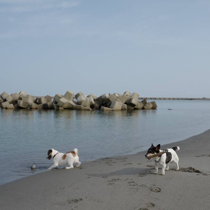 54243282 f1cb 4643 ad1d 8449d421316c 1562128581357