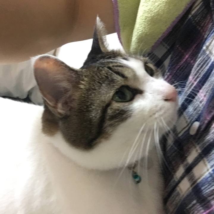 542436c0 d36c 464c 9fdc 25f007ddf2a1 1508001325164