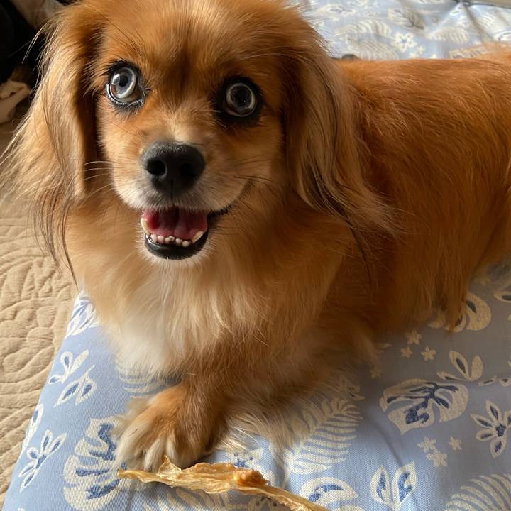 54243d52 8976 4972 83e5 a8e43a051d27 1599262708385