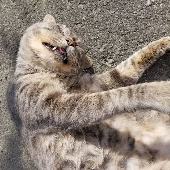 542442d3 4e9e 46f3 89e5 72a2816e70e8 1539653312909