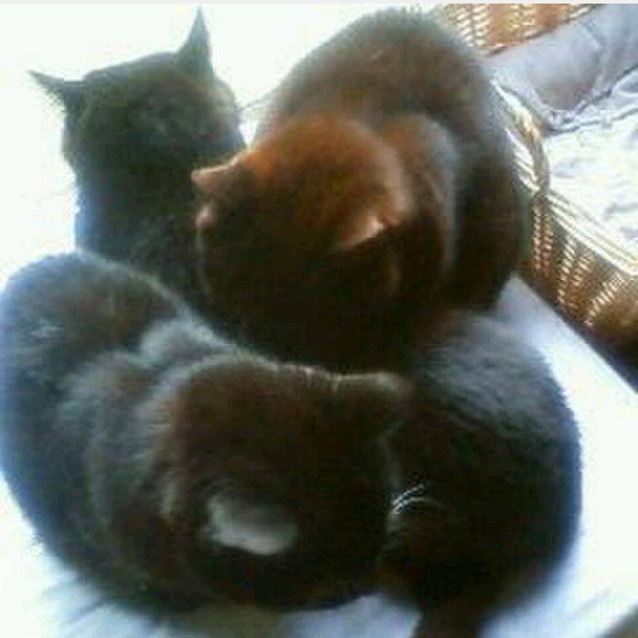 54244516 3f42 4594 85af 6bec752ecbab 1755321169712