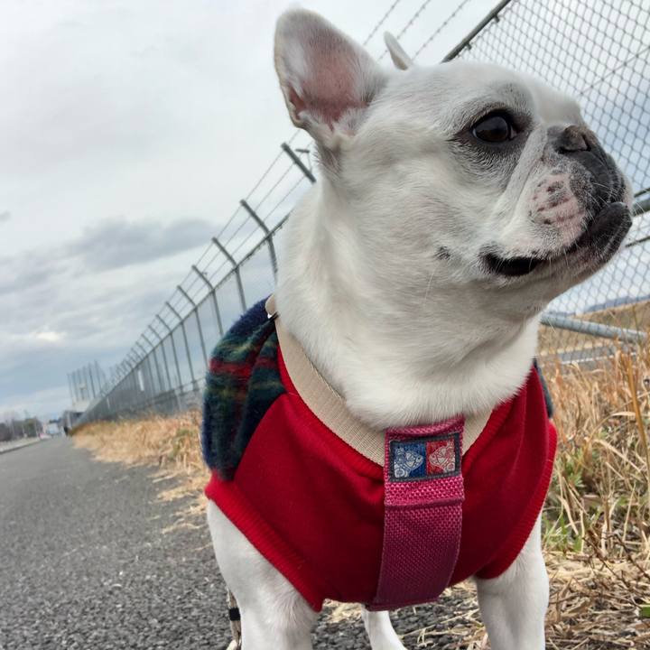 54244744 7208 4f53 afd7 b5758f67e990 1577701277257