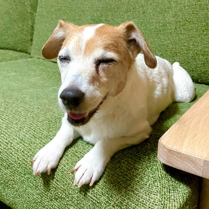 54246548 f709 4051 b910 9c7c56724243 1705931311196