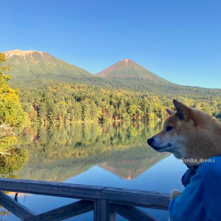 542485d9 6a1d 4ae8 8a98 1ecf9fd73721 1570086745000