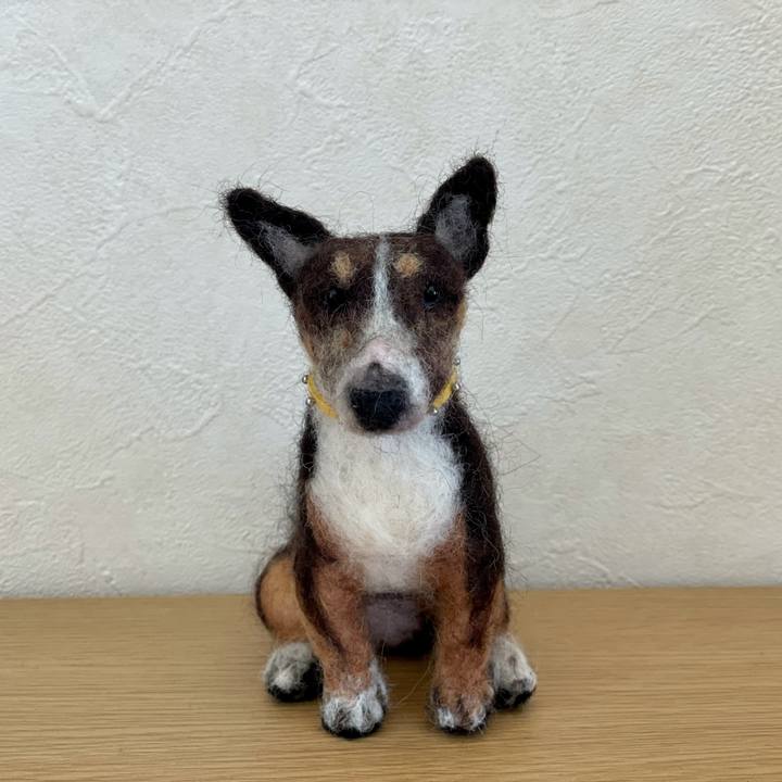 5424bd4a 8b30 4fde 9f39 b7d52350264a 1635339991515