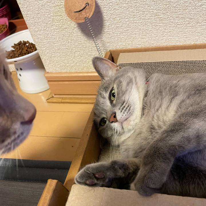 5424c381 3a2c 46c6 b170 ad88abe0b5e6 1660302861676