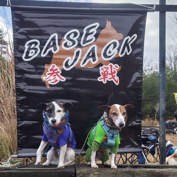 5424c920 518c 4080 bef4 acdf217a44a9 1765725987195