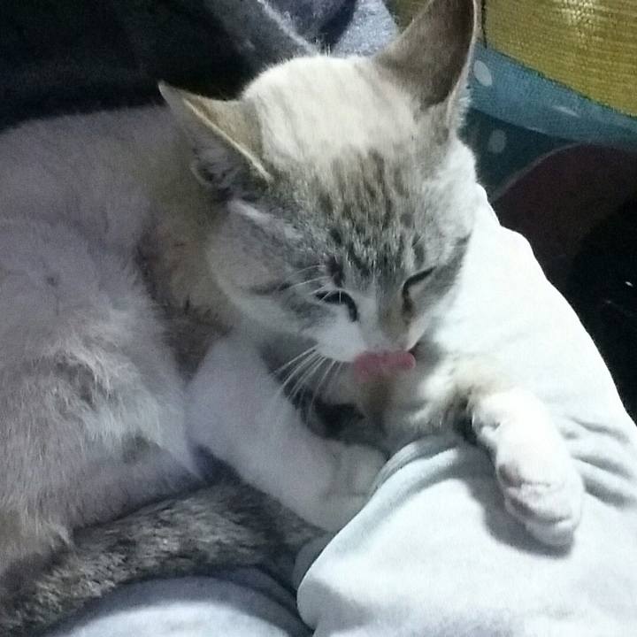 54250900 c7f5 4c95 aac2 f33125fc4770 1515061265271