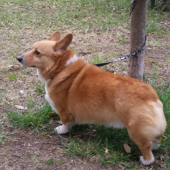 54252756 9b08 43d1 b60d 18f0bff9c998 1508130248334