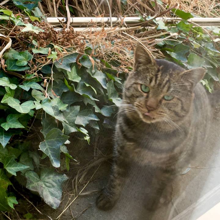 54255923 3c24 4c52 8f88 4c88587bb9e6 1576474489725