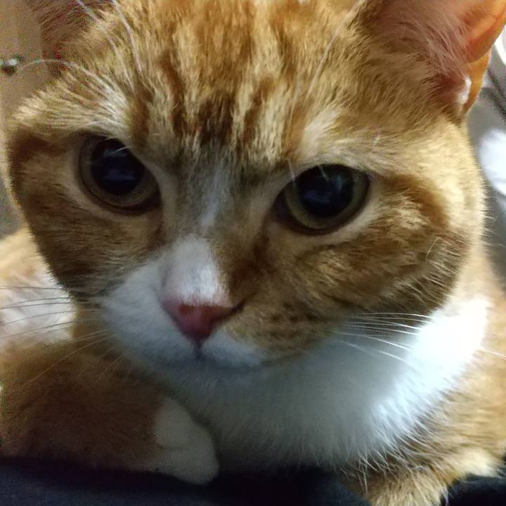 54258fff 10c5 4d27 8f8f 5d409e3d5f97 1655518133494