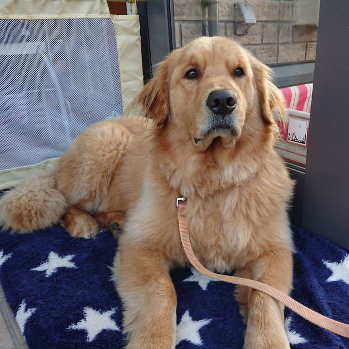 5425bfe4 a475 47e3 965a f6ef8e1338fc 1541409135615