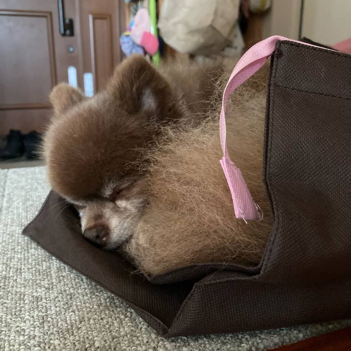 5425d91e 35f7 45a9 8dc4 01f16cf2b3c9 1656474446480