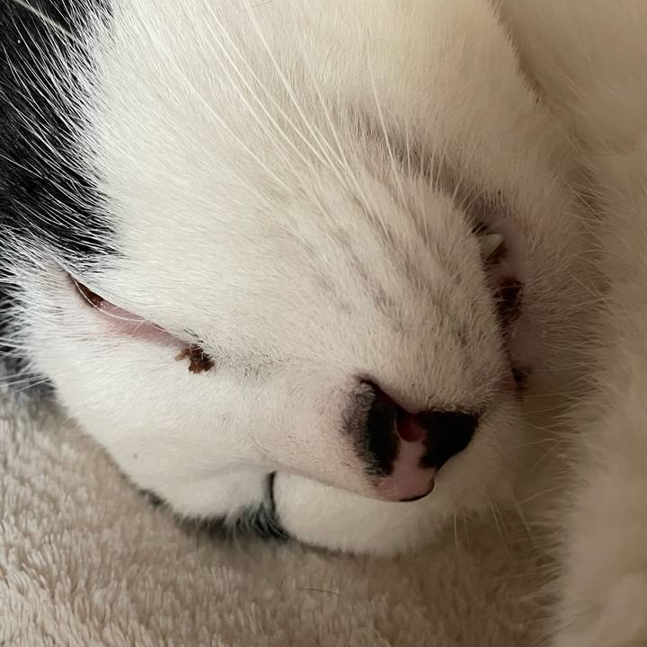 5425f842 b0ce 4020 ac5e 3941f3f237b7 1649573305925