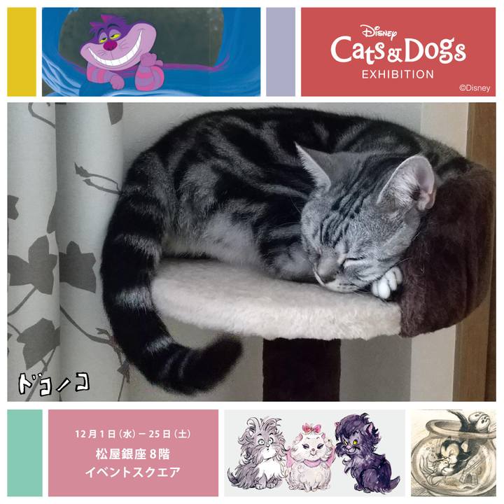 542631bd d42a 4605 bb4c a3f473087c64 1639137122799