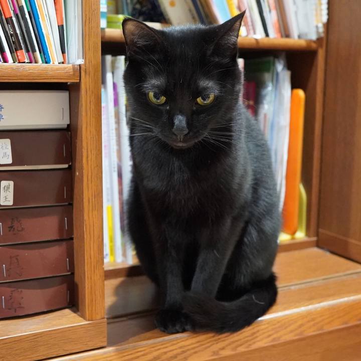 542646cb f757 4390 94cb 0b5a6f770f15 1583843050643