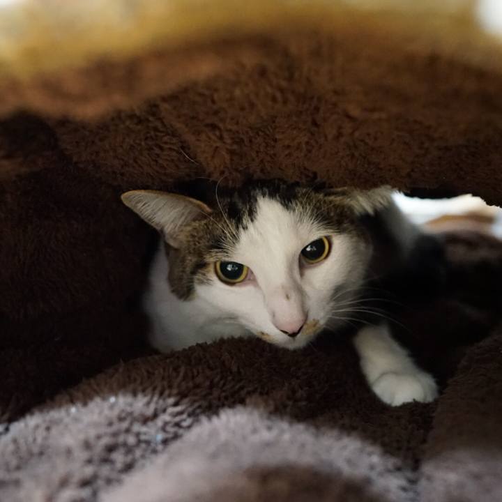 5426493f 2bc2 4c8d 8b46 47b029c00612 1543447509702