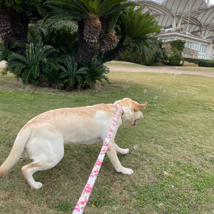 54267625 4bd7 4473 a3d0 73e3f6af9750 1636798087053