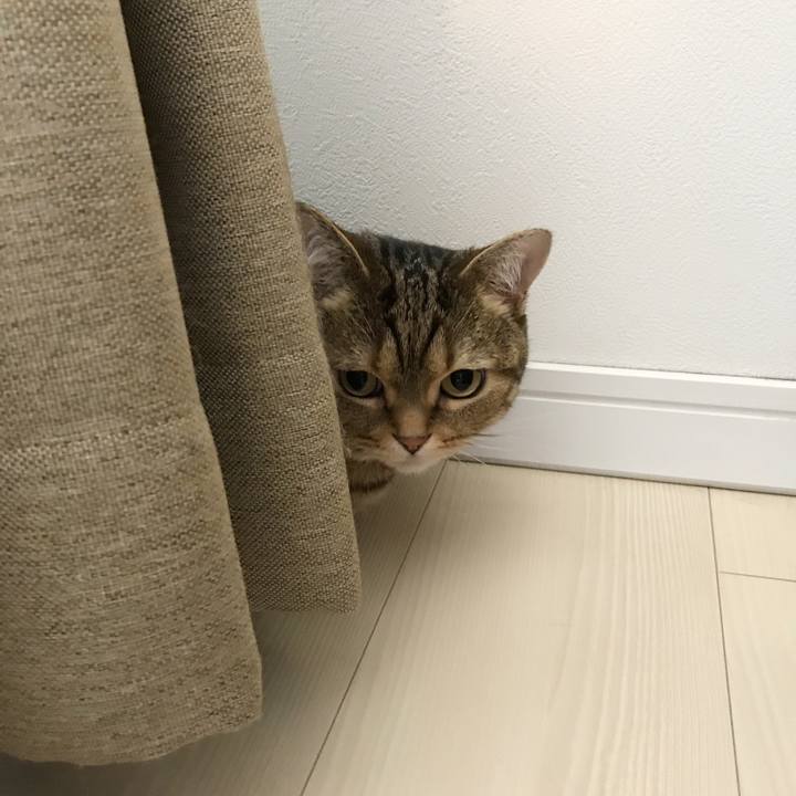 54267861 2c8f 425c bbe6 8dfea475e9a3 1530409185457