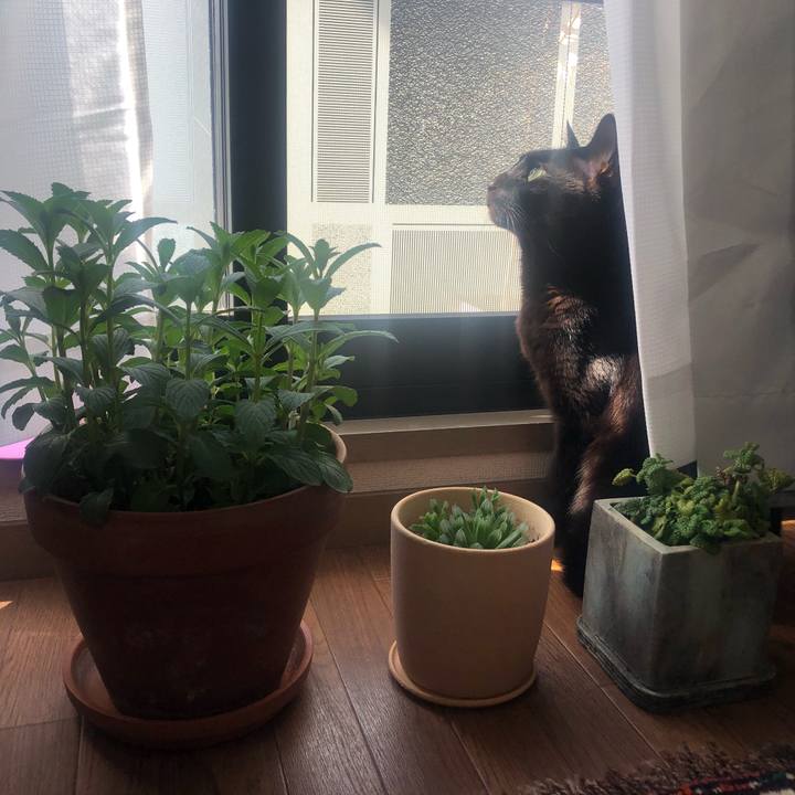 5427027c 4d3b 4b75 853a 9c20ed60ceb2 1616029695237