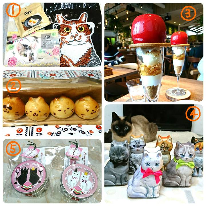 54273ad5 b278 48af 8dfc 949ce01af953 1550962313738