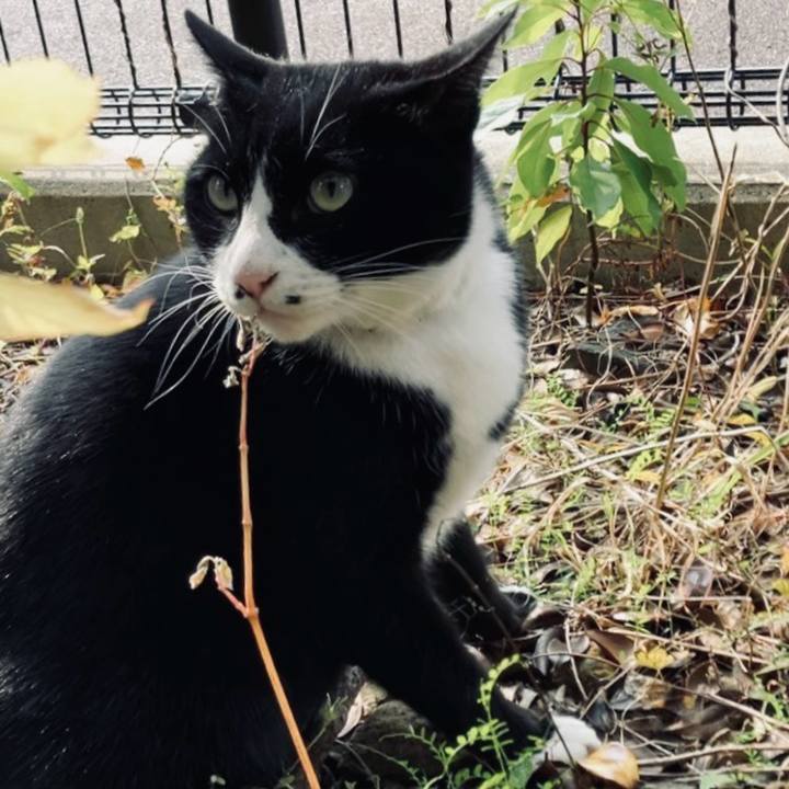 542754cd dc67 4857 a817 3141391ee019 1733452057019