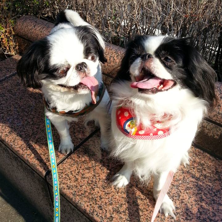 54278221 0d4d 4859 8cfb 1aa33b668f2a 1728786228718