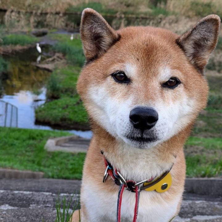 54278d10 92e0 47ec 8375 7cf628550000 1730465851389