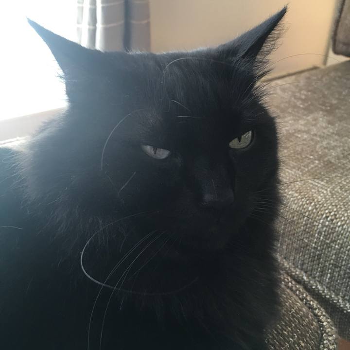 5427a2a9 59f1 4eca b3f4 01c8f4071e35 1531307510489