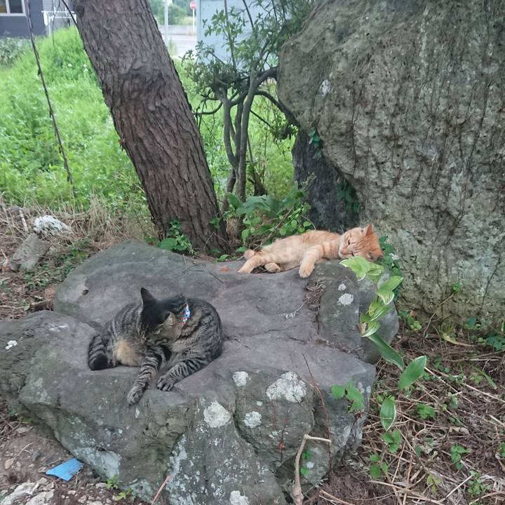 5427cbc7 4ffa 4777 a383 6ea3f4682667 1660122028315