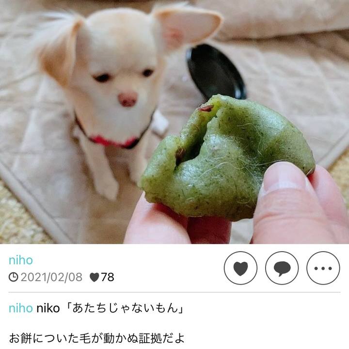 5427e987 c142 43d1 a95b 554418e496c2 1644289348080