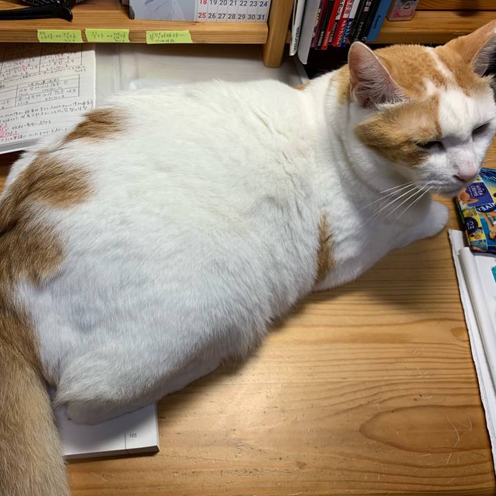 542802b4 9348 4727 bd31 5bb497c9ed86 1566641045147