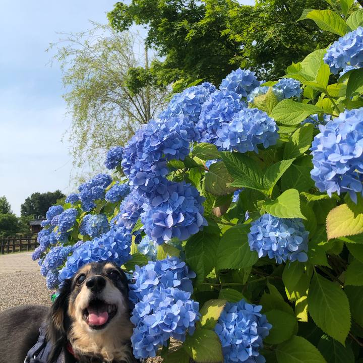 5428128c 9d70 458c bca8 f356a12c98d3 1623119878034