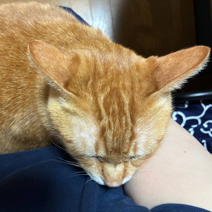 5428768f 099a 4090 9932 7d5387d14fac 1761652995950