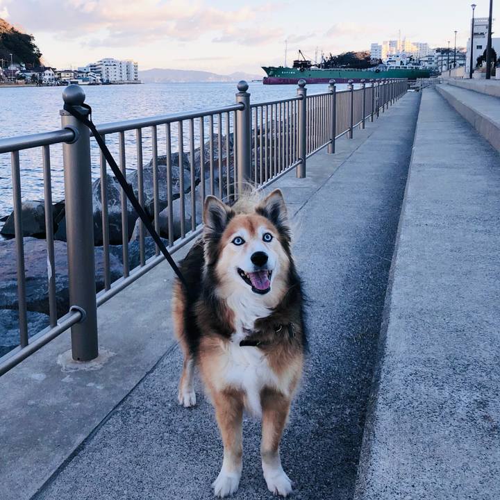 5428c61b 896d 4eea 8a3b a4502540a0db 1609573972563