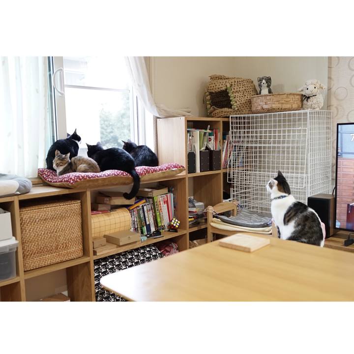 5428d010 48cc 4218 86ea 1723fba59311 1574638888982