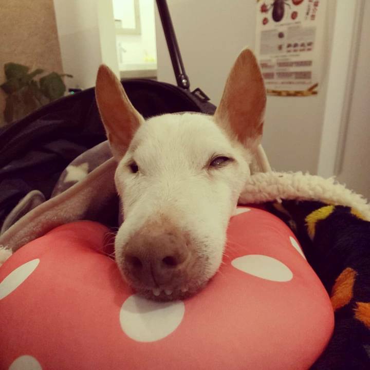 5428e273 0e8f 41c2 873a 61df38822da8 1615983897712