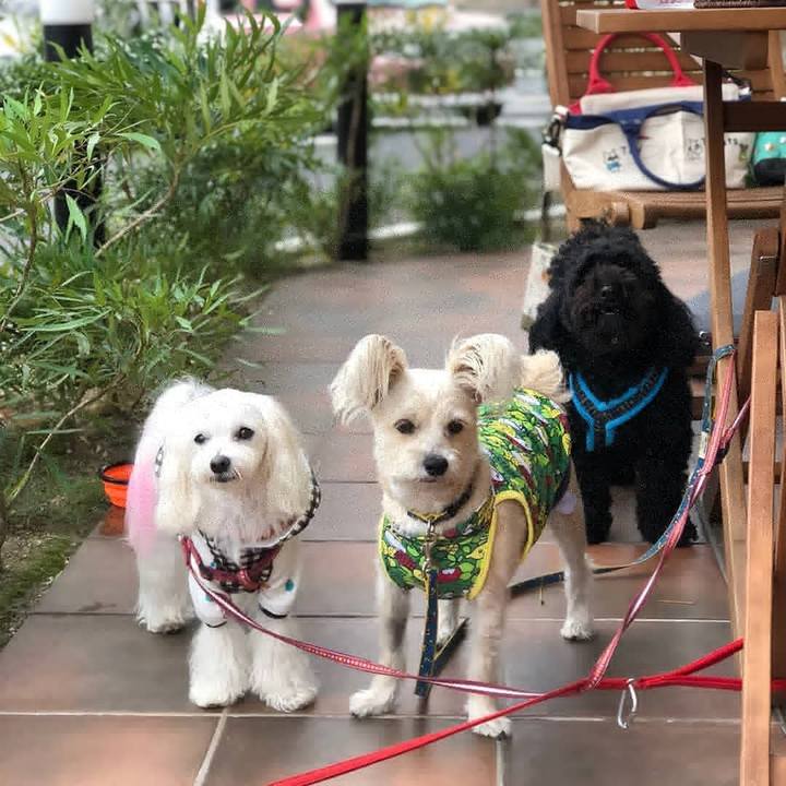 54290e46 0c18 405b bb8d 1a6a7bc41d15 1540645924451