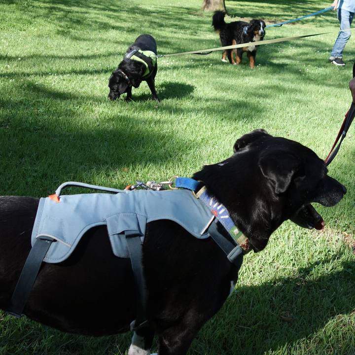 54291110 c521 42ed 95c8 3e767e69772d 1719016533566