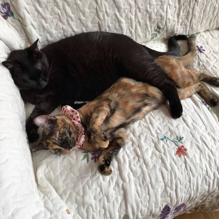 542923c8 3412 4c23 b463 9f64114c4734 1623636817631