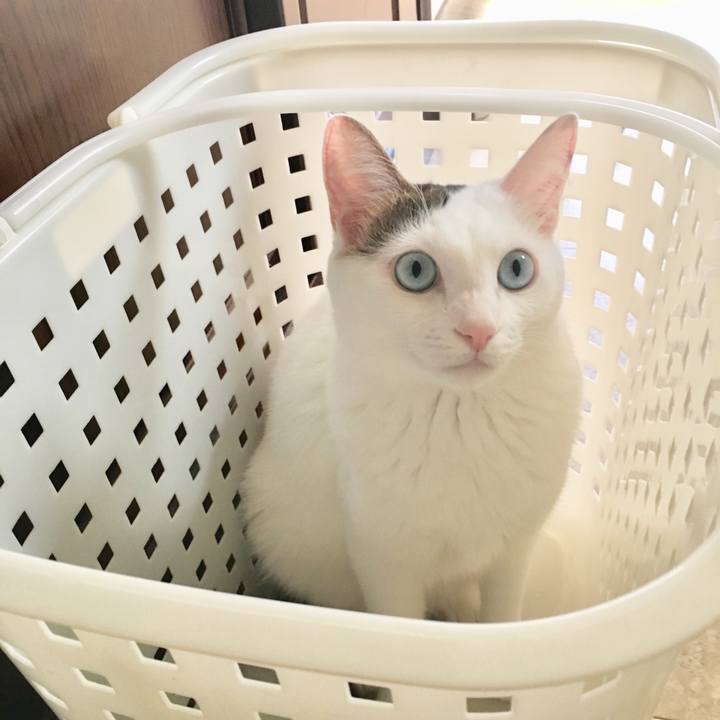 54292f85 321e 4393 9cbd 5bd8daadb20d 1536278819507