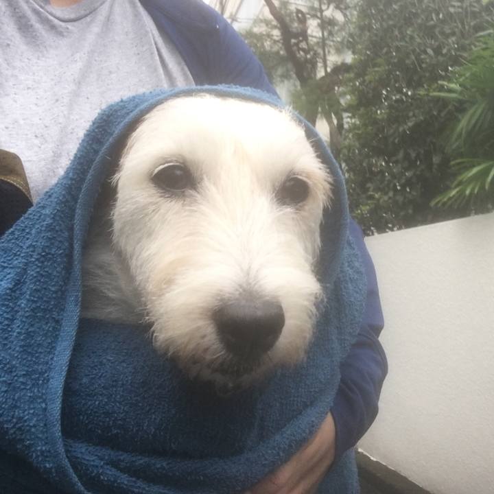 54293307 c3bf 4ea6 9938 7c95a0c6d5b7 1663643248440