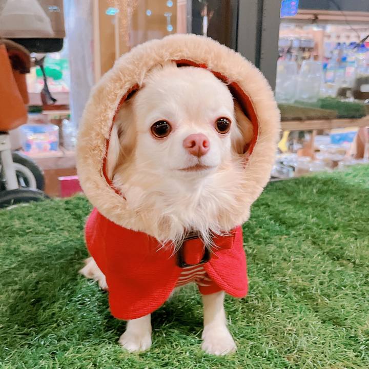 5429cfa9 5e2e 4399 ab8e e997b3ec6bd2 1671175741046